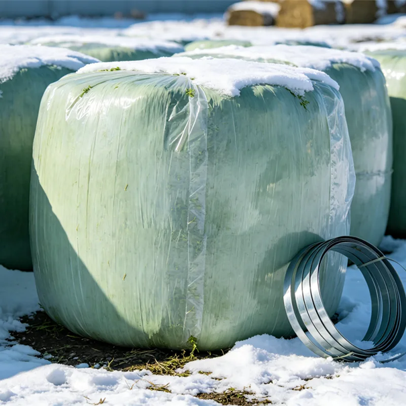 Why Does Baled Whole Plant Corn Silage Matter for Modern Livestock Feeding Efficiency? Why Does Baled Whole Plant Corn Silage Matter for Modern Livestock Feeding Efficiency?