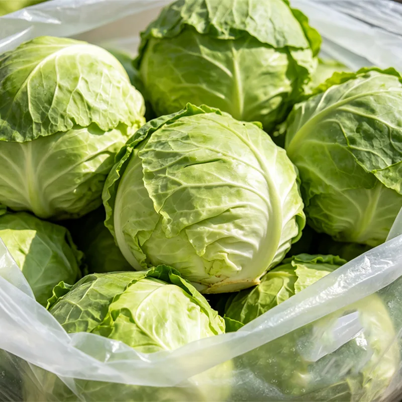 Is Net Bag Packed Round Cabbage the Key to Better Product Visibility and Faster Turnover? Is Net Bag Packed Round Cabbage the Key to Better Product Visibility and Faster Turnover?